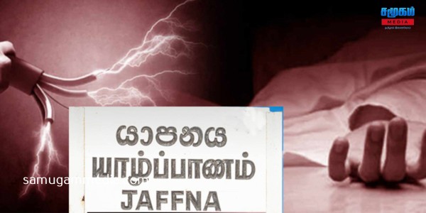 மழையில் நனைந்த ஆட்டுக்குட்டிகளை காப்பாற்றச் சென்ற மாணவணுக்கு ஏற்பட்ட சோகம் - யாழில் சம்பவம் samugammedia 